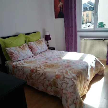 Appartement Le Saint Eloi Colmar