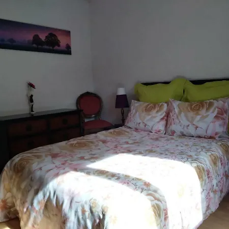 Le Saint Eloi Appartement Colmar